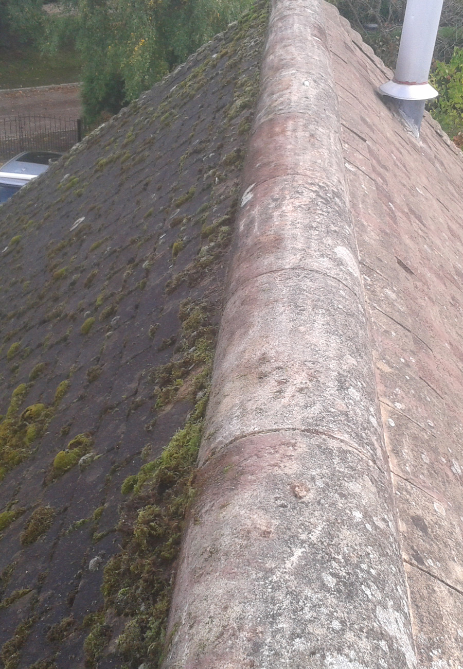 Assurez la propreté et la longévité de votre toiture avec notre service de nettoyage et démoussage à Guingamp (22200) dans les Côtes-d'Armor (22)